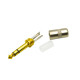 Dragon Switch | TRS Straight Stereo Short Barrel Plugs 1/4 Gold tip